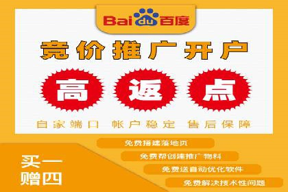 百度竞价广告创意设计：成功案例解析及启示